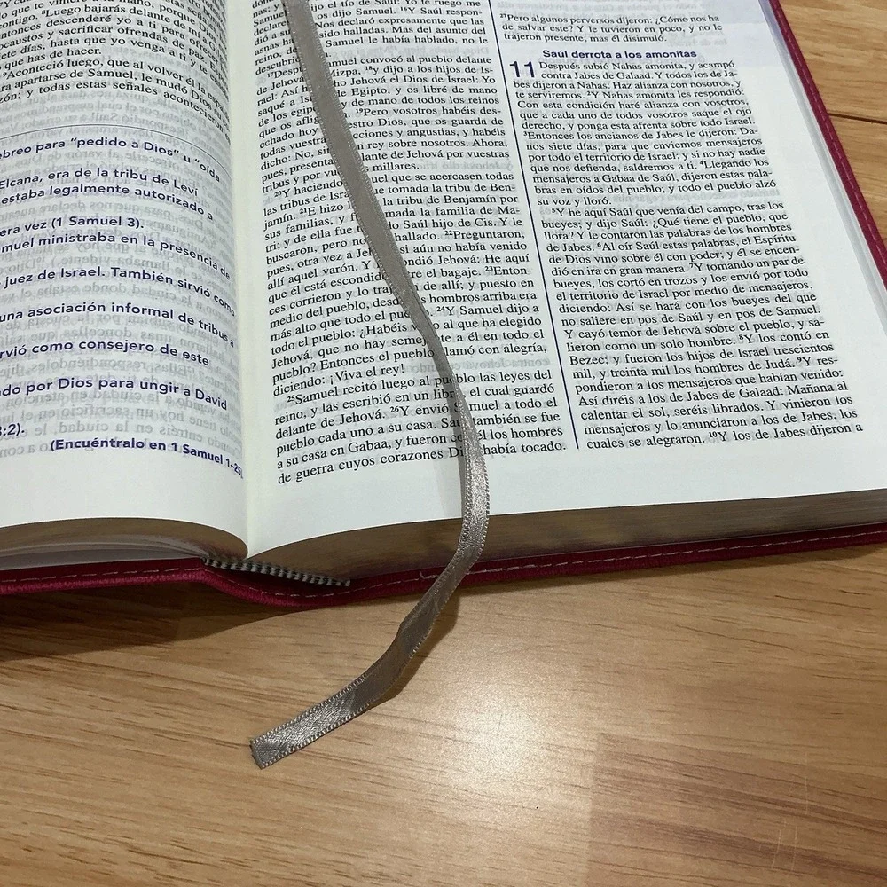 Biblia de una joven conforme al corazón de Díos RVR.1960 duotono Y Diario Nuevo